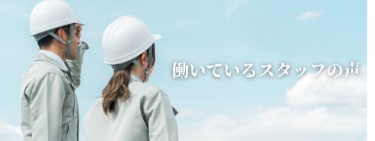 働いているスタッフの声