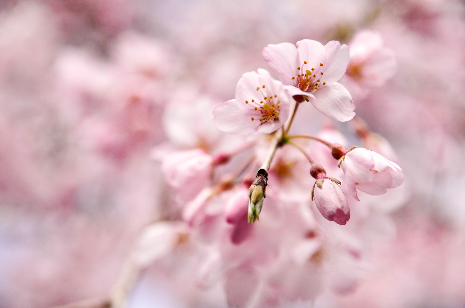 福井県や鹿児島県でのお仕事情報を更新しました！のサムネイル